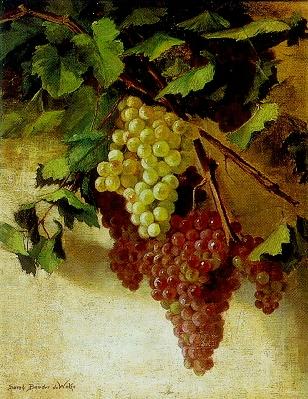 Still Life of Grapes
