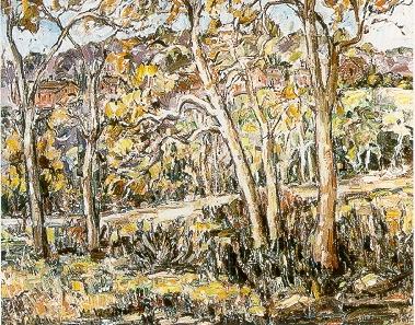 Wooded Path With Trees