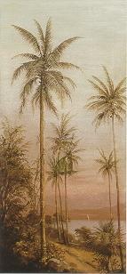 A Tropical Inlet with a Distant
