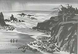 A Walk along the Coast