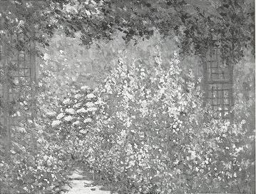 Garden Trellis