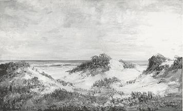Sand Dunes