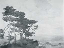 Along the Coast