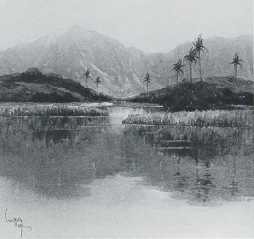 Hawaiian Reflections