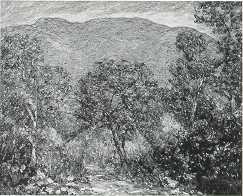 Mountains near Matilya Dam