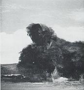 Spring Pastoral