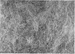 Solar Path by Michael Rubin - Auction record, sale price, and art valuation. Compare with similar artists and explore comparable artworks.