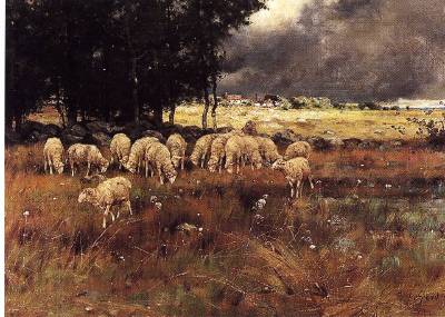 Sheep Grazing in a Pasture