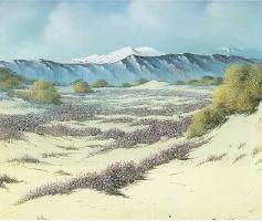 Field of Flowers