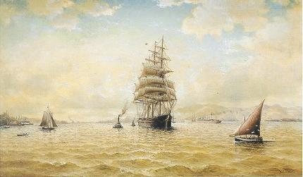 Sailing Ships in San Francis