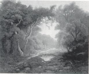 Wooded Passage