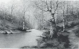 Meandering Brook
