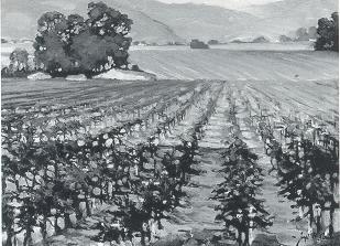 Vineyard, California
