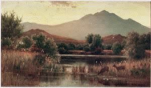 Deer Watering in a Mountainous Landscape