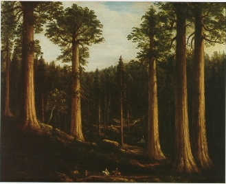 California Redwoods by Henry Cheever Pratt - Auction record, sale price, and art valuation. Compare with similar artists and explore comparable artworks.
