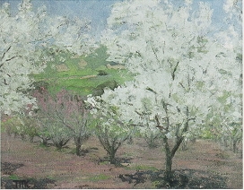 Orchard in Bloom