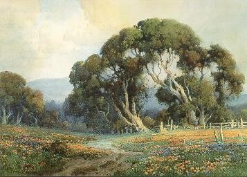 Trees and Wildflowers