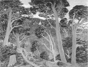 Cypresses, Carmel Highlands by Theodore Morrow Criley - Auction record, sale price, and art valuation. Compare with similar artists and explore comparable artworks.