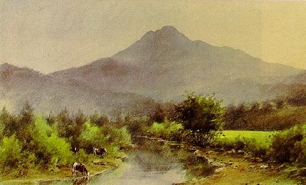 Mount Tamalpais From Near