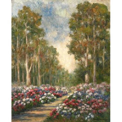 Rhododendrons, Golden Gate Park