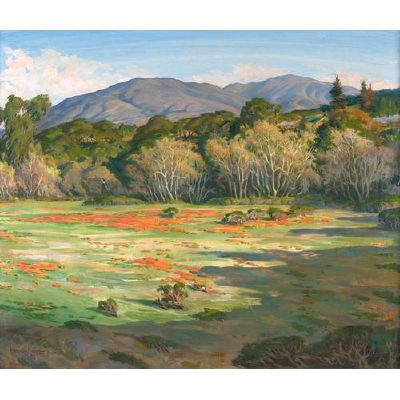 Poppies and Sycamores near Los Gatos, CA