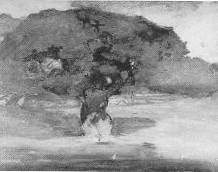 Monterey Oak