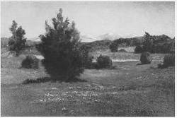 California Landscape