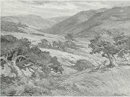 Carmel Valley