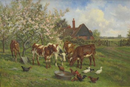 In an Orchard