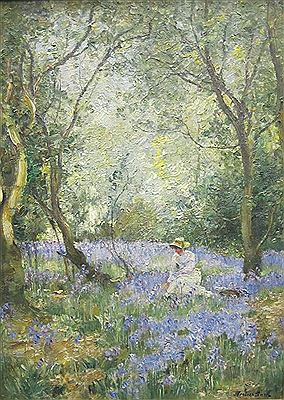 In a Bluebell Wood