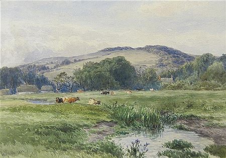 In the Meadows, Carisbrooke