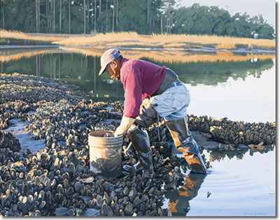 Lowcountry Oystering