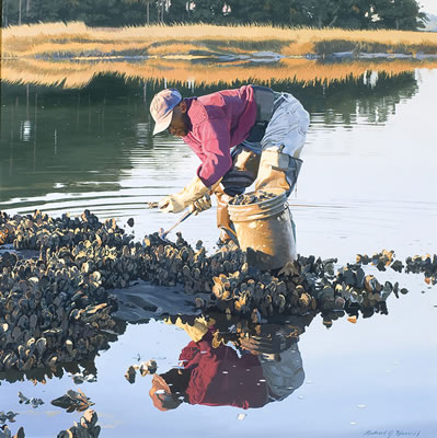 Lowcountry Reflections