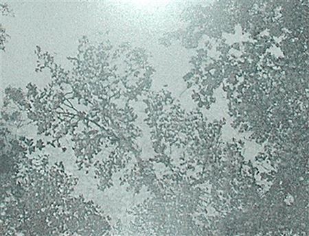 Quando la neve cadrà io non sarò mai stato qui (frame n° 89 del video) by Federico Gori - Auction record, sale price, and art valuation. Compare with similar artists and explore comparable artworks.