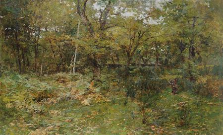 A LEGNA NEL BOSCO