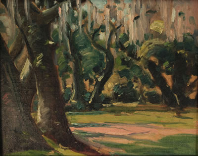Meadow landscape