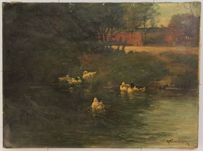Landscape, ducks in pond