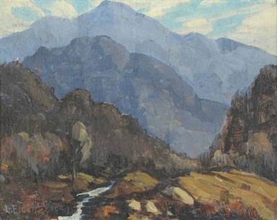 Among Rugged Mountains In The Smokies