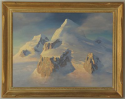 Antarctic Scene