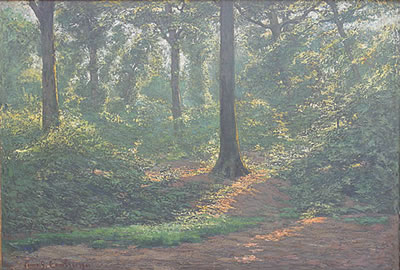 Zonnig woud/Forêt ensoleillée