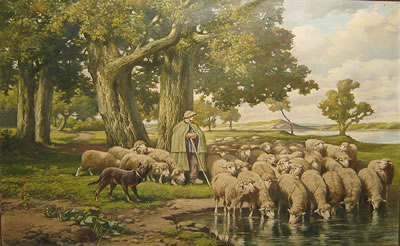 'Schaapherder'.