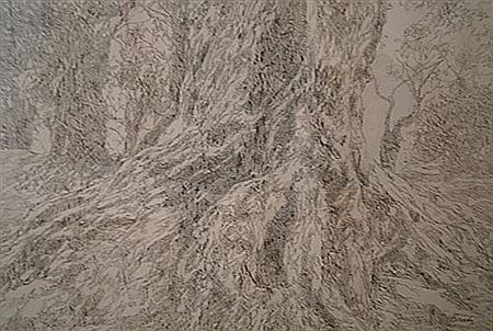 "Olive trees"