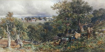 The Woodcutters