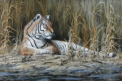 Tiger in the Rushes by Mark Chester - Auction record, sale price, and art valuation. Compare with similar artists and explore comparable artworks.