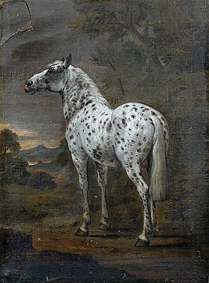 Study of a spotted horse in a landscape