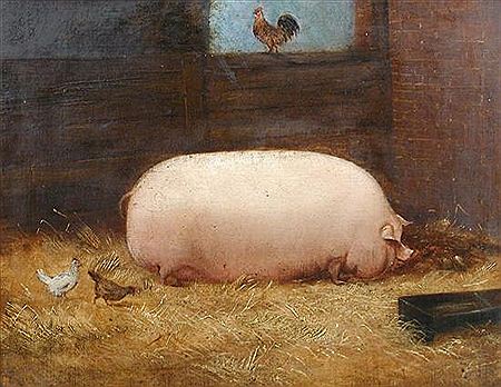 Victoria, a Prize Pig