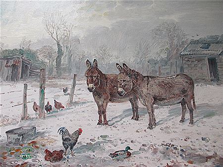 Donkeys in the snow
