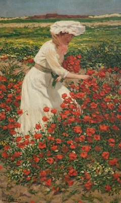 LAS AMAPOLAS