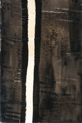 Círculos de pintura negra y su correspondiente problemática