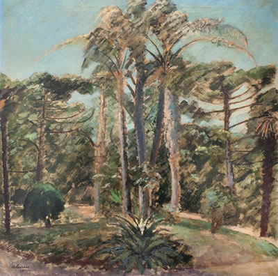 Plaza arbolada